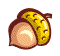 acorn